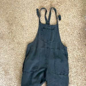 Aerie Overalls